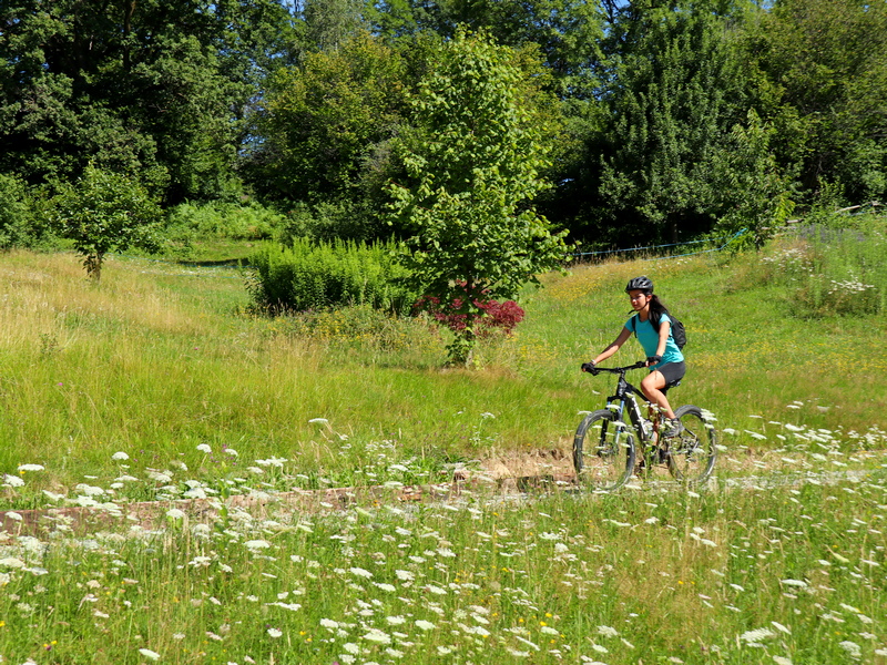Il Grand Tour della Val di Merse