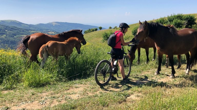 Da SlowItaly a SlowMap: ecco perchè abbiamo cambiato nome