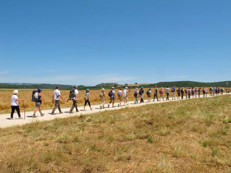 20 anni in movimento lento